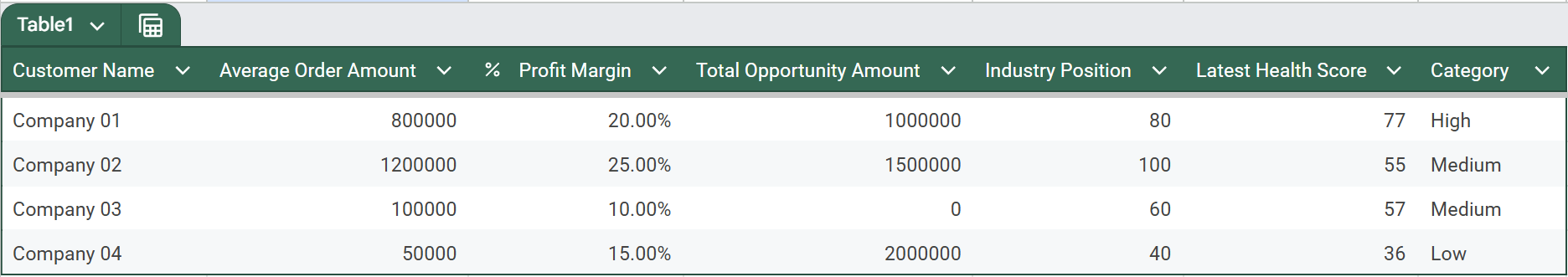 Customer Overview Interface